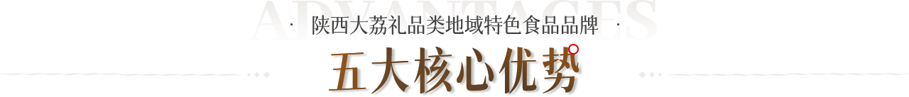 五大核心優(yōu)勢(shì)